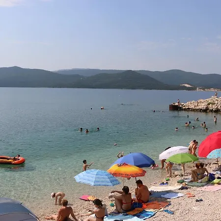 Mare